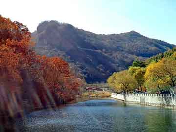 管家婆黑白马报图库，天峨seo排名